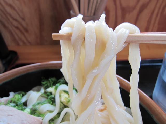手打うどん吉川　武蔵野風肉汁うどん・ぶっかけスタイル（特大）　麺アップ