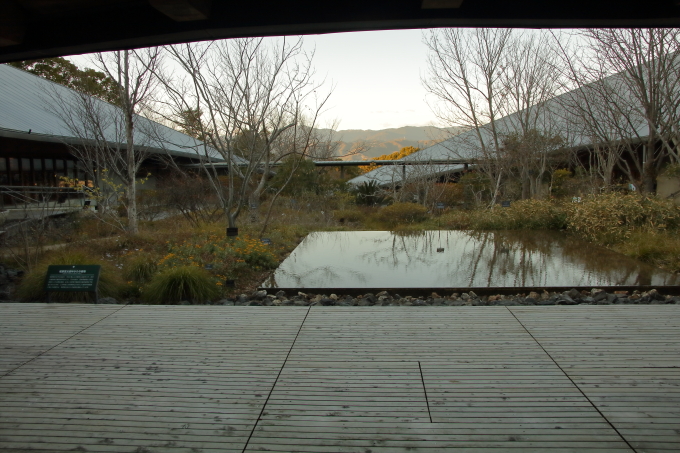 高知県立牧野植物園 園内の風景
