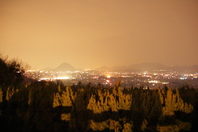 レオマワールドから見た丸亀市の夜景