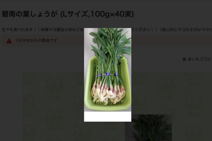 JAタウン愛知県産葉生姜