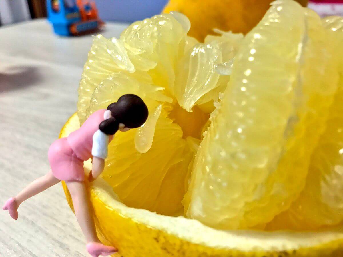 文旦にコップのフチ子を付けた